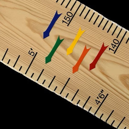 Vinyl Stickers & Pens - The Real Ruler Co.
